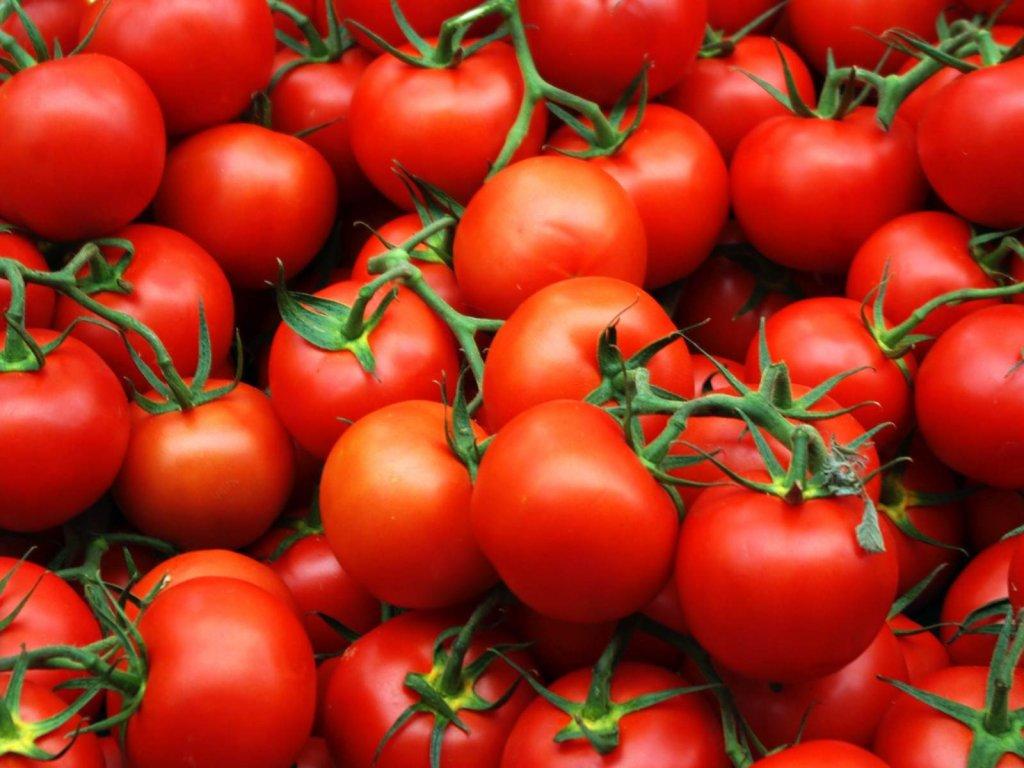 томаты.jpg