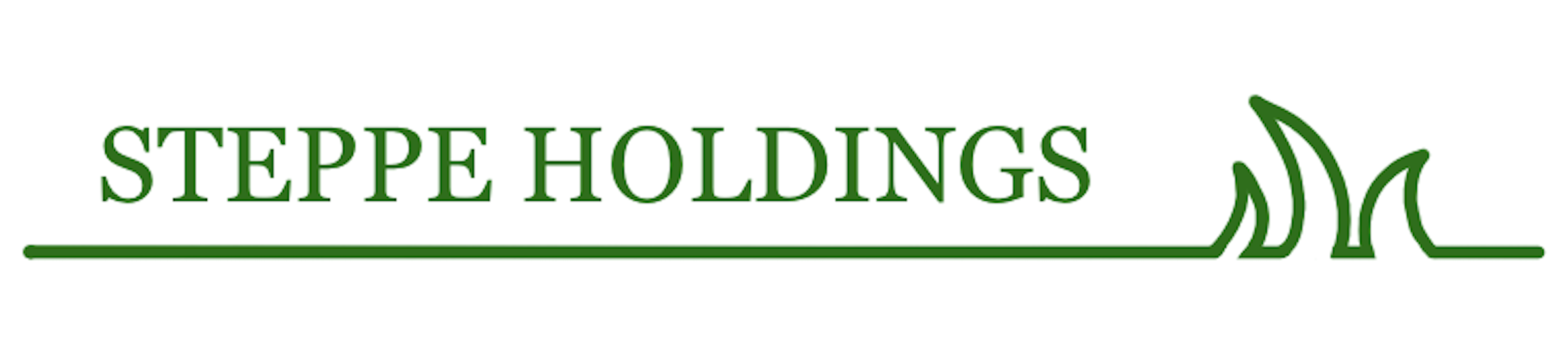 Steppe Holdings