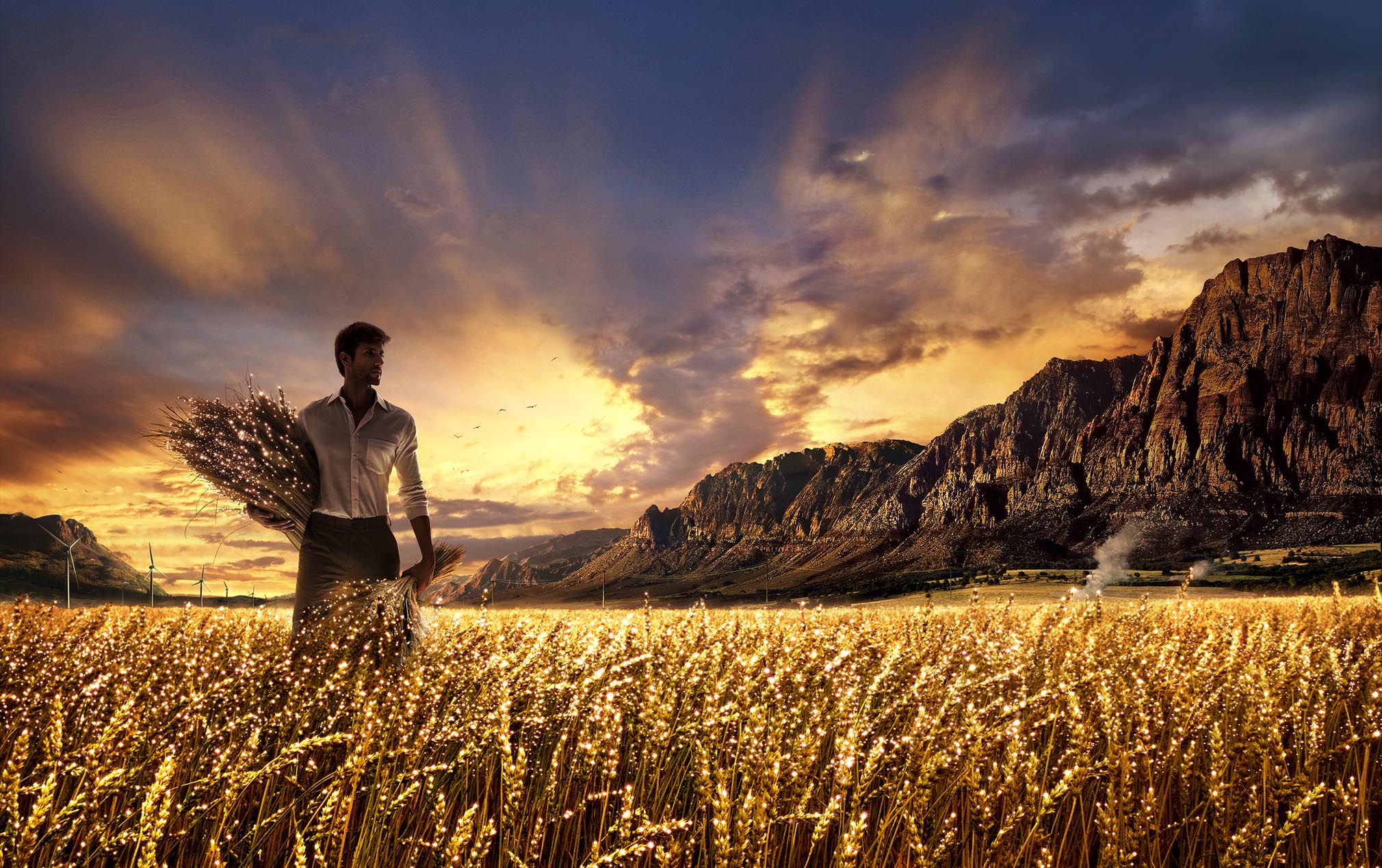 Глупому в поле. Пшеничное поле человек. Мужчина в поле. Мужчина в пшеничном поле. Мужская фотосессия в пшеничном поле.