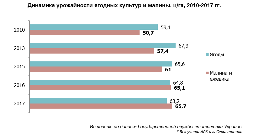 Бизнес план по выращиванию малины