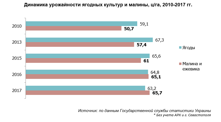 Бизнес план выращивания малины с расчетами