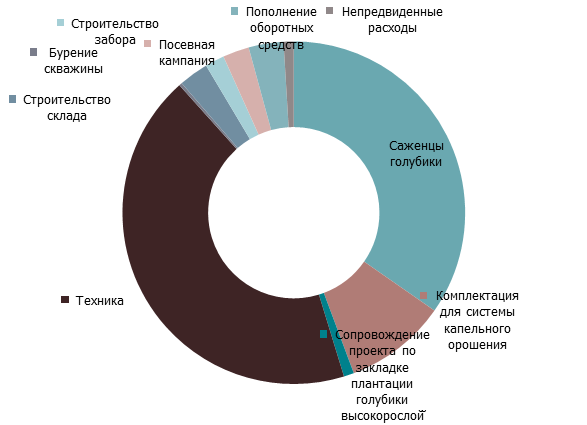 Бизнес план по выращиванию голубики с расчетами