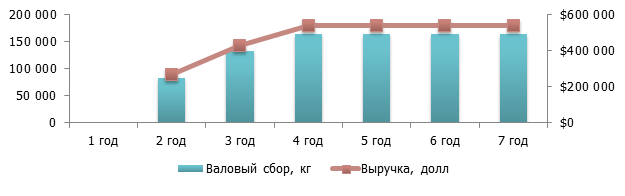 Бизнес план по выращиванию голубики с расчетами