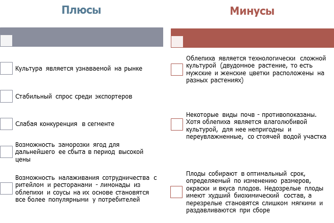 Плюсы и минусы культуры