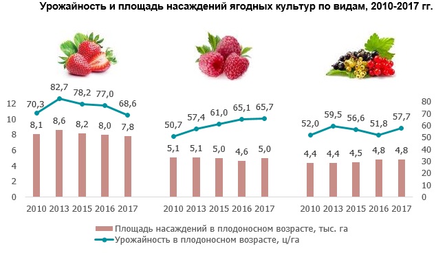 Бизнес план выращивания малины с расчетами