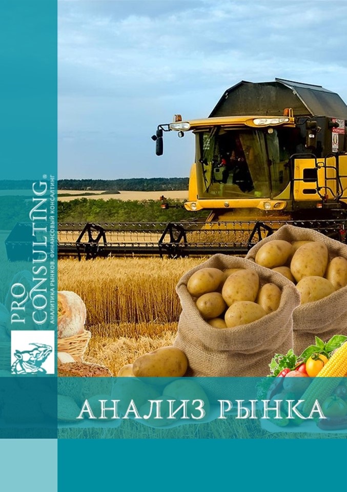 Реферат: Исследование украинского рынка сельскохозяйственной и пищевой продукции