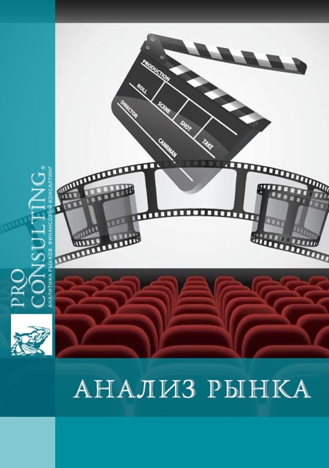 Аналитическая записка по рынку кинотеатров в Украине. 2024 год